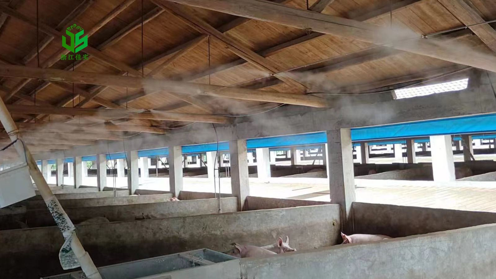 福建多场景适用的高效喷雾除臭解决方案