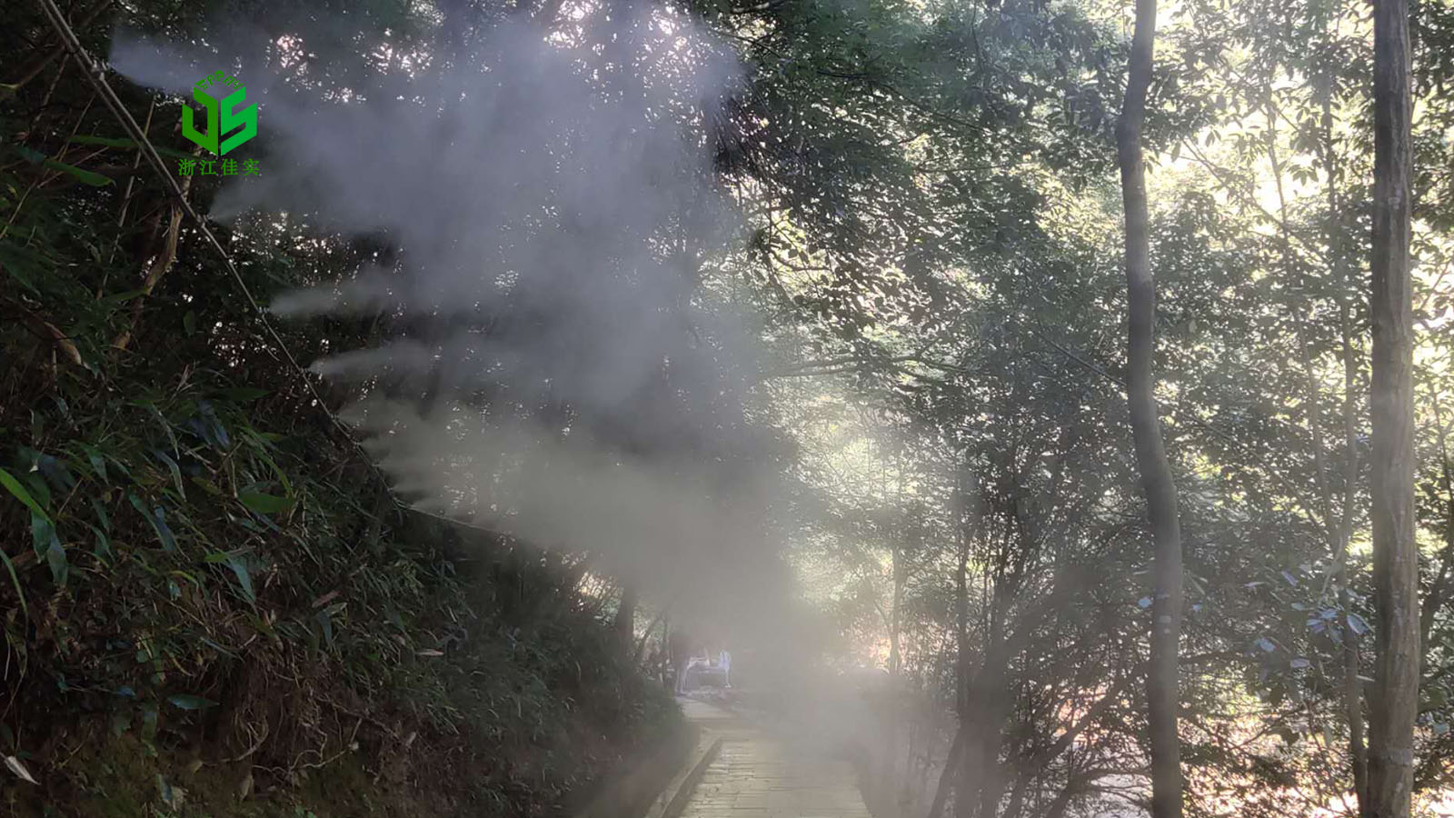 福建雾森系统人造雾 喷雾造景打造沉浸式景观体验